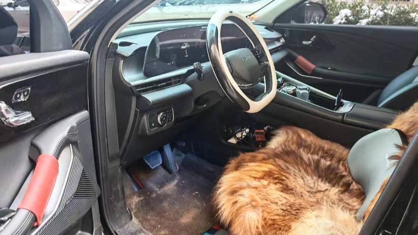 EXEED 2024 EXEED Yaoguang C-DM 1.5T Long Range Plus