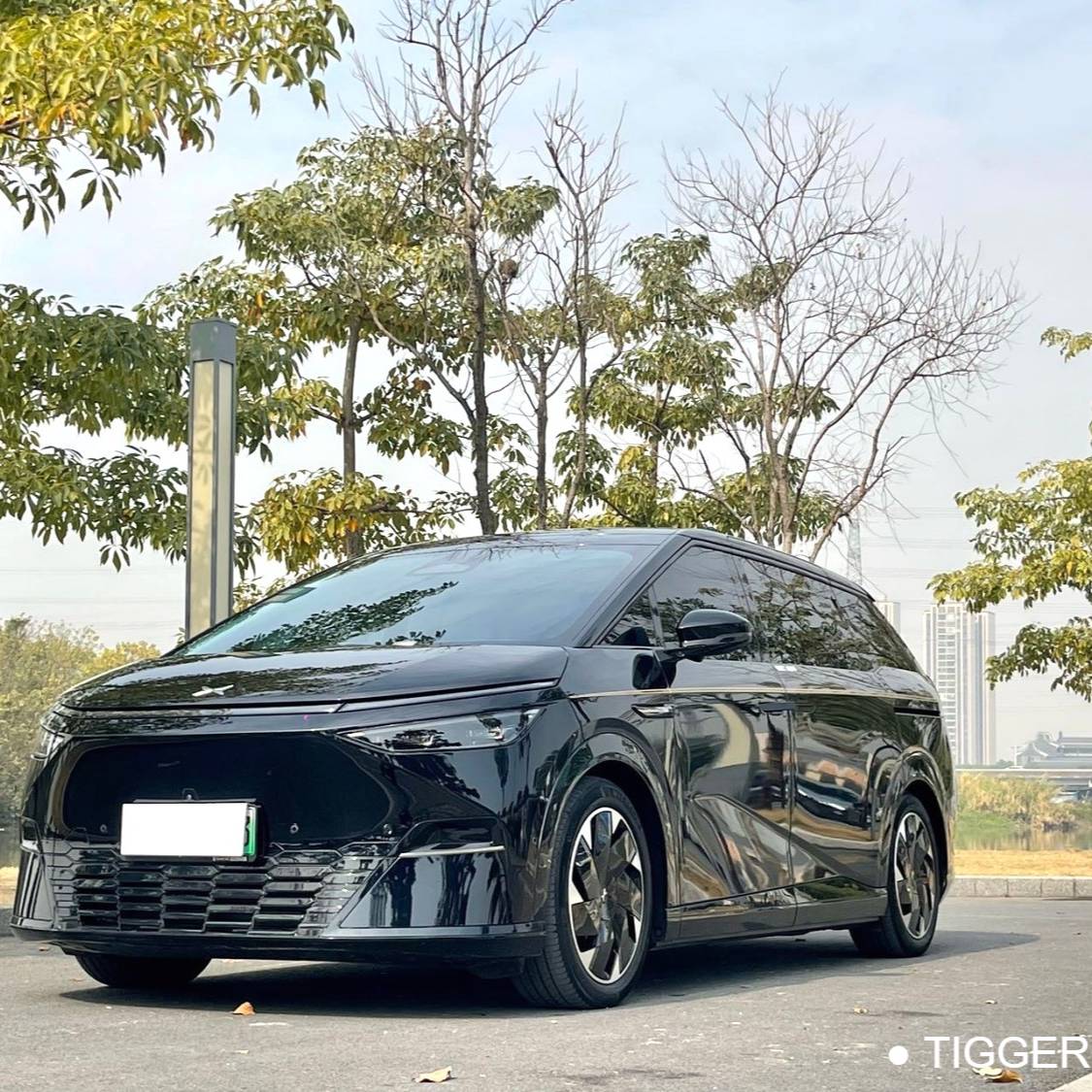 XPENG 2024 X9 702 Ultra Long Battery Life Pro Used Car