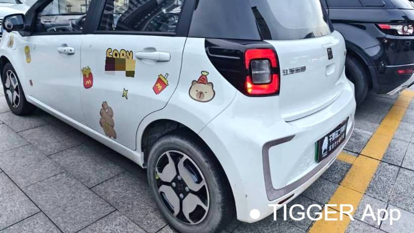 SOL 2023 Sehol Huaxianzi Anniversary model 301km Sunflower 45kW