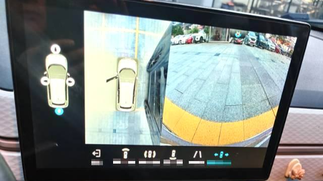 SOL 2023 Sehol Huaxianzi Anniversary model 301km Sunflower 45kW