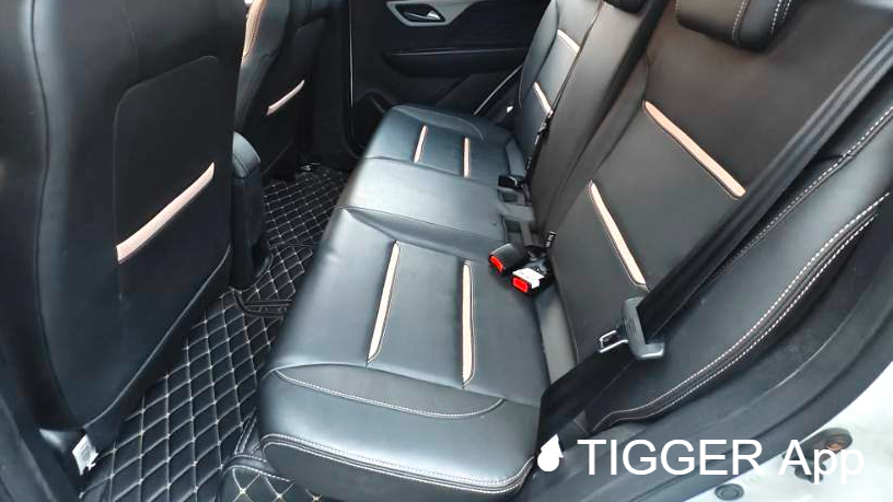 SOL 2023 Sehol Huaxianzi Anniversary model 301km Sunflower 45kW