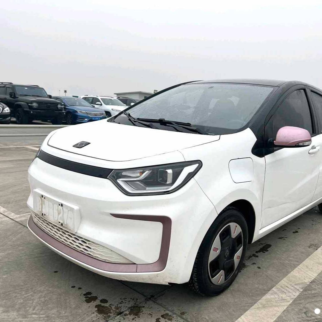 SOL 2023 Sehol Huaxianzi Anniversary model 301km Starry Sky 45kW Used Car