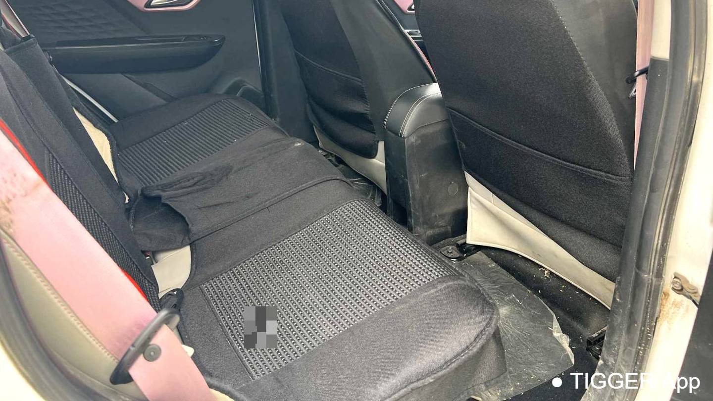 SOL 2023 Sehol Huaxianzi Anniversary model 301km Starry Sky 45kW