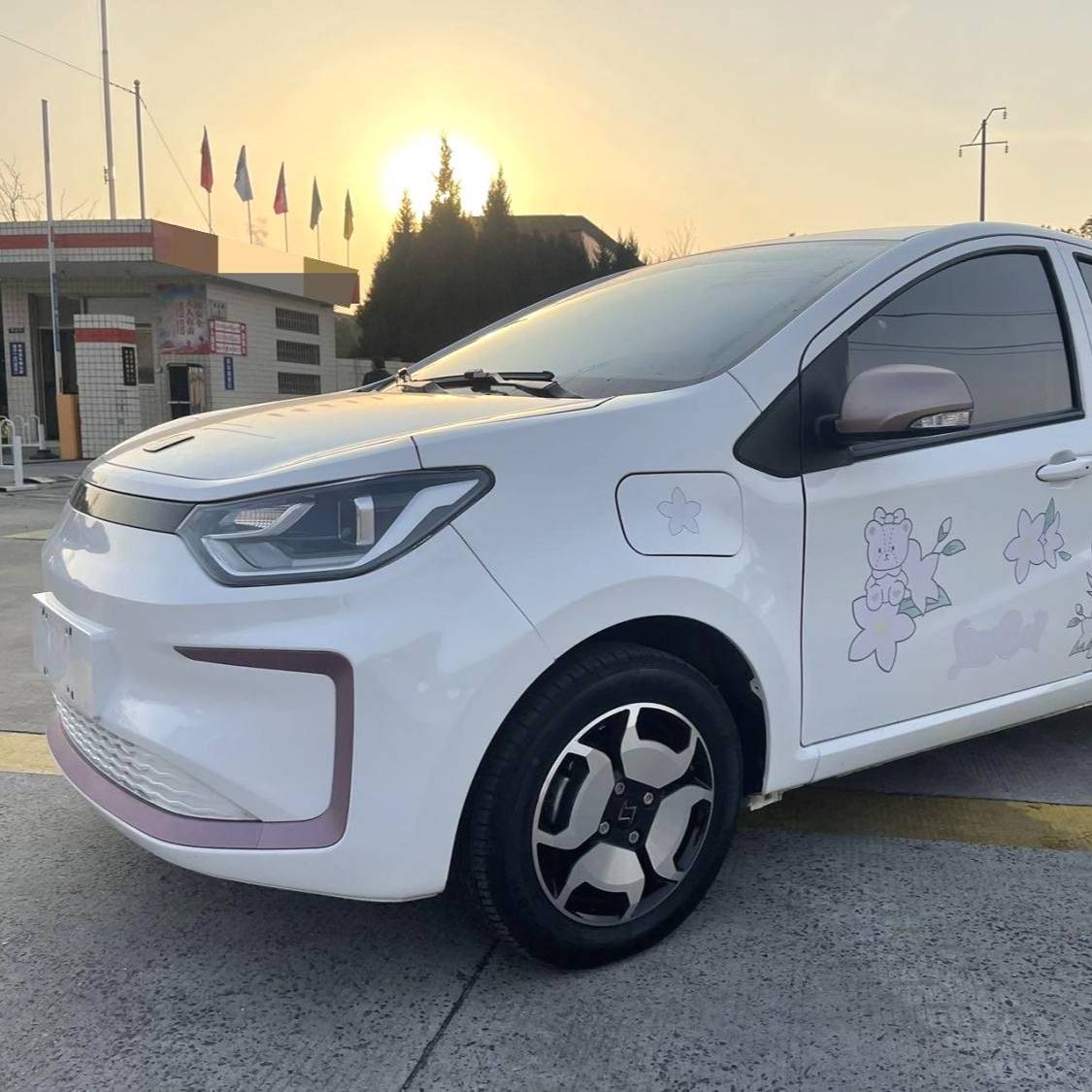 SOL 2023 Sehol Huaxianzi Anniversary model 301km clover 36kW Used Car