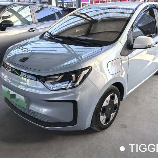 SOL 2023 Sehol Huaxianzi Anniversary model 301km Sunflower 45kW Used Car