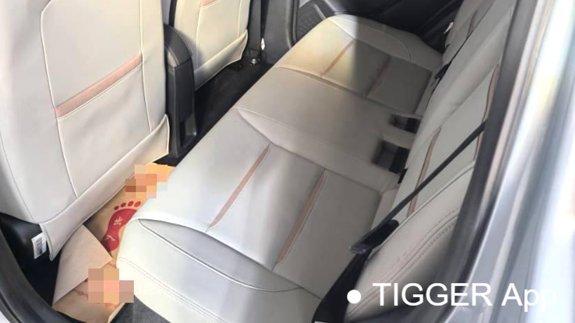 SOL 2023 Sehol Huaxianzi Anniversary model 301km Sunflower 45kW