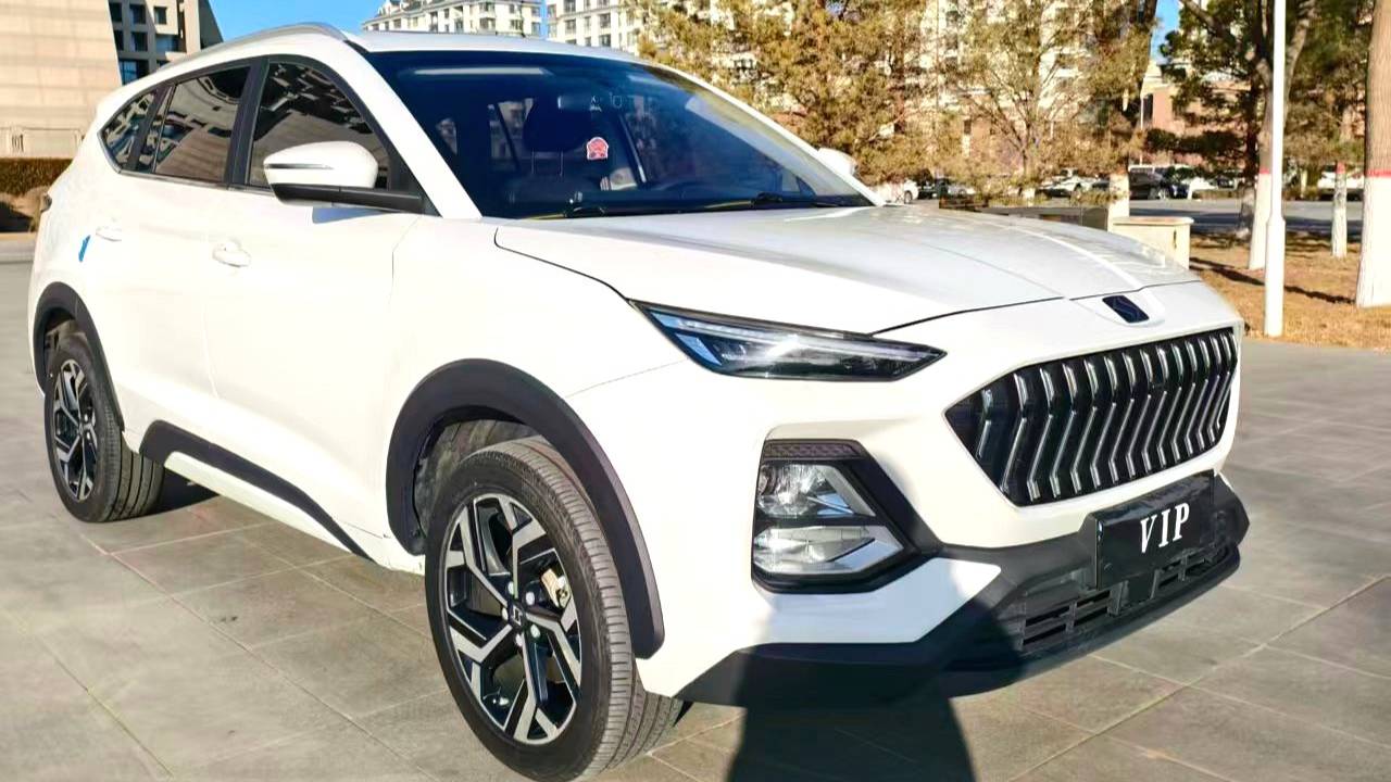 SOL 2021 X8 300T DCT Leading Intelligent Connected Edition 7-seater