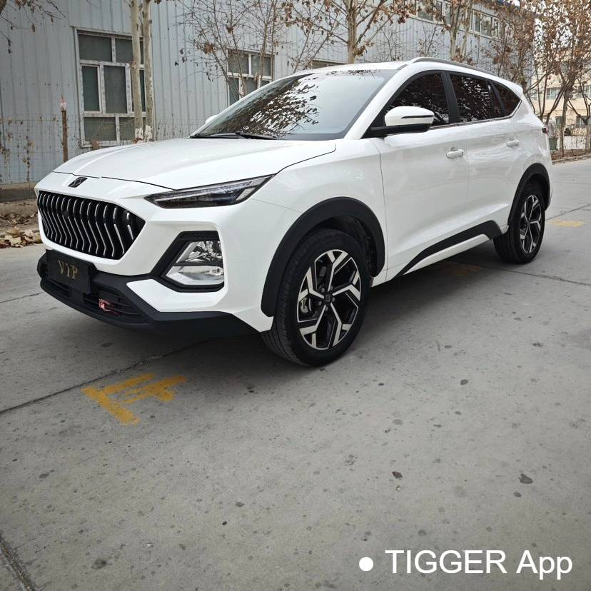 SOL 2021 X8 300T DCT Leading Intelligent Connected Edition 7-seater Used Car