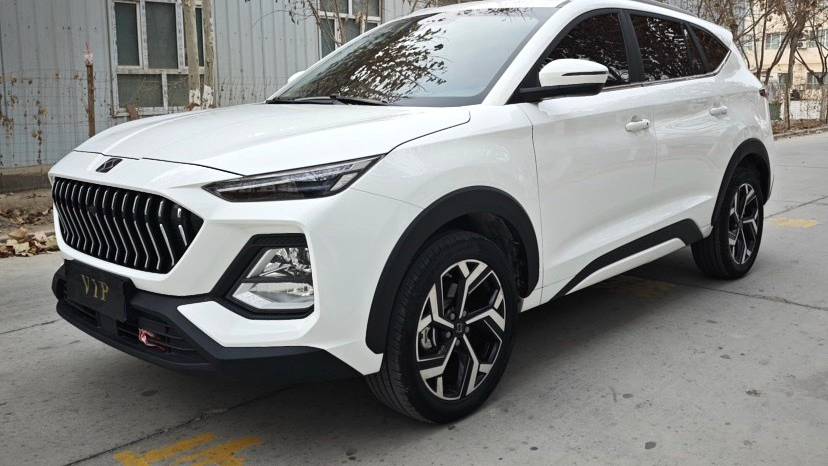 SOL 2021 X8 300T DCT Leading Intelligent Connected Edition 7-seater