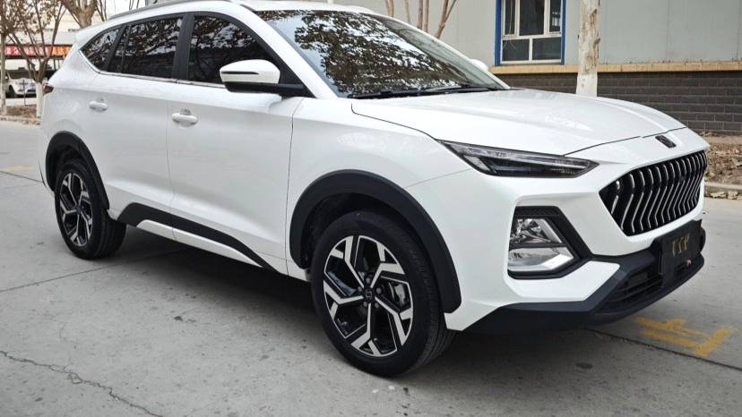 SOL 2021 X8 300T DCT Leading Intelligent Connected Edition 7-seater