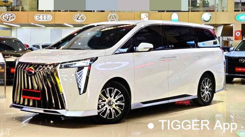 GAC 2024 E9 E9 Premium Edition