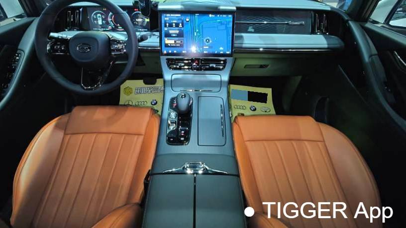 GAC 2024 E9 E9 Premium Edition