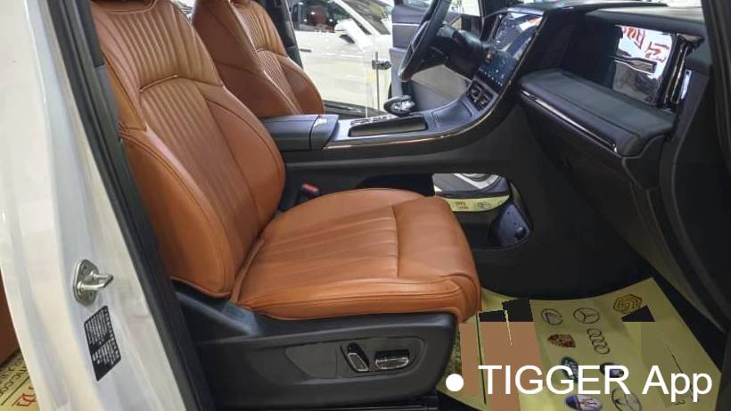 GAC 2024 E9 E9 Premium Edition