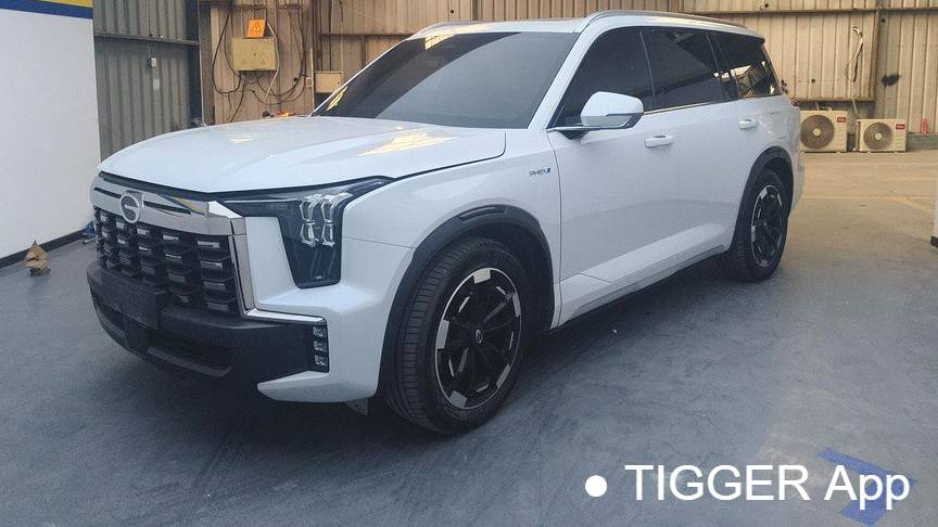 GAC 2023 ES9 PHEV 143km Traveler Max
