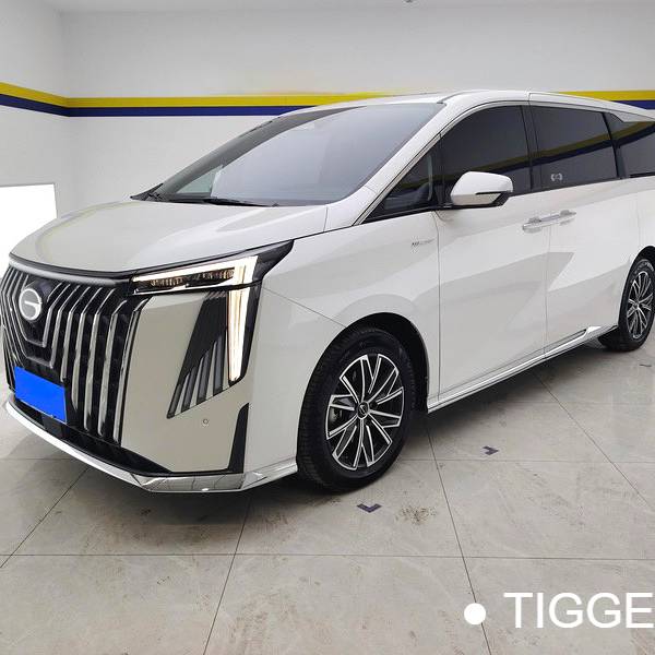 GAC 2024 M8 Master Series 400T Ultimate Edition Used Car