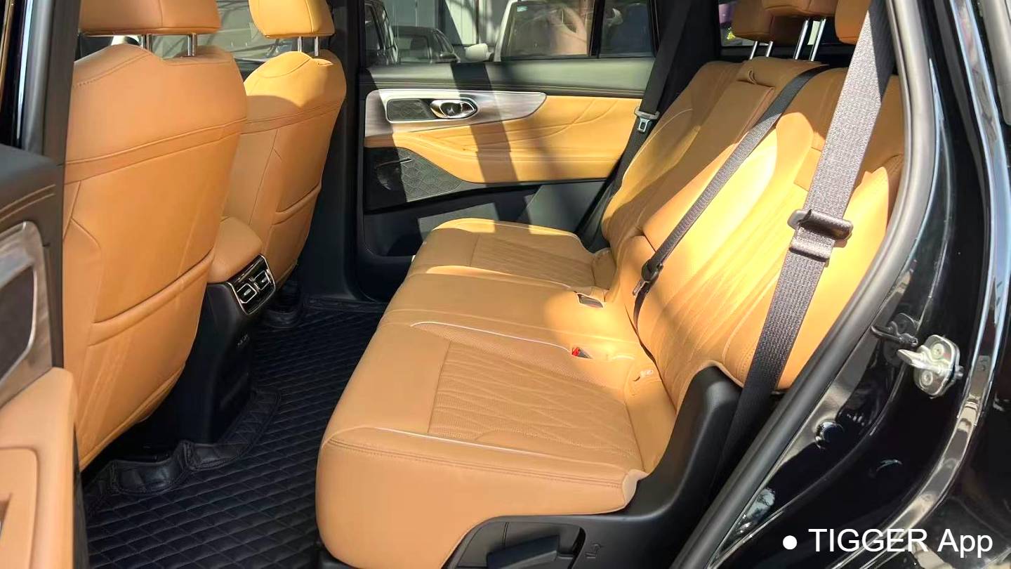 GAC 2025 GS8 Navigation Series 2.0TGDI 2WD Luxury Edition 5-seater