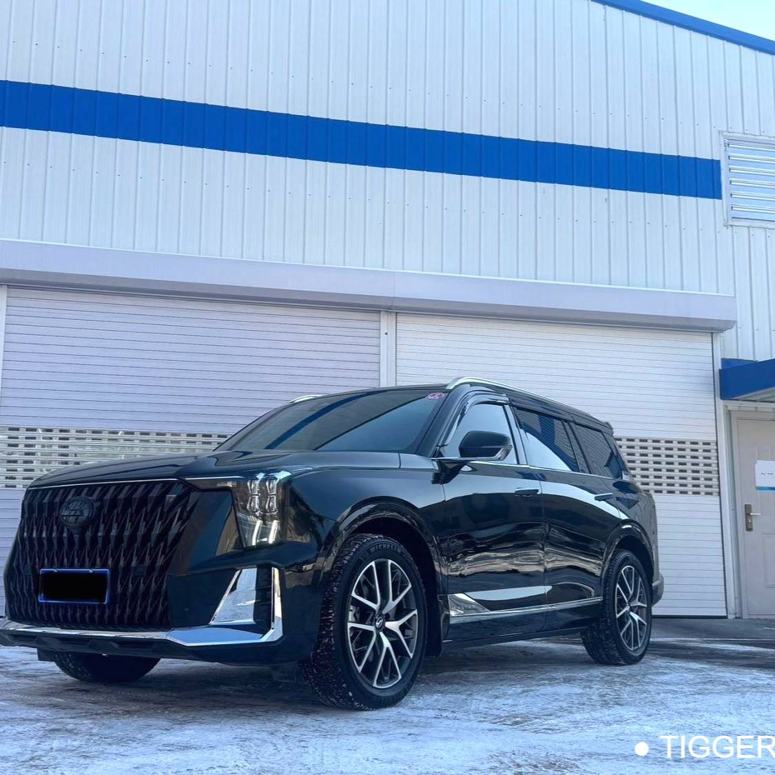 GAC 2024 GS8 Dual Engine Series 2.0TM 2WD Premium Edition