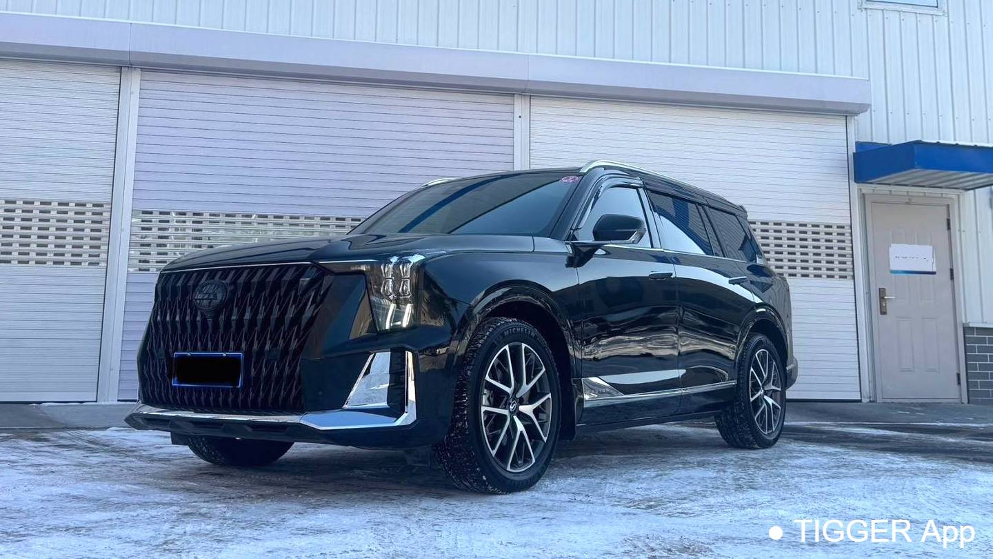 GAC 2024 GS8 Dual Engine Series 2.0TM 2WD Premium Edition