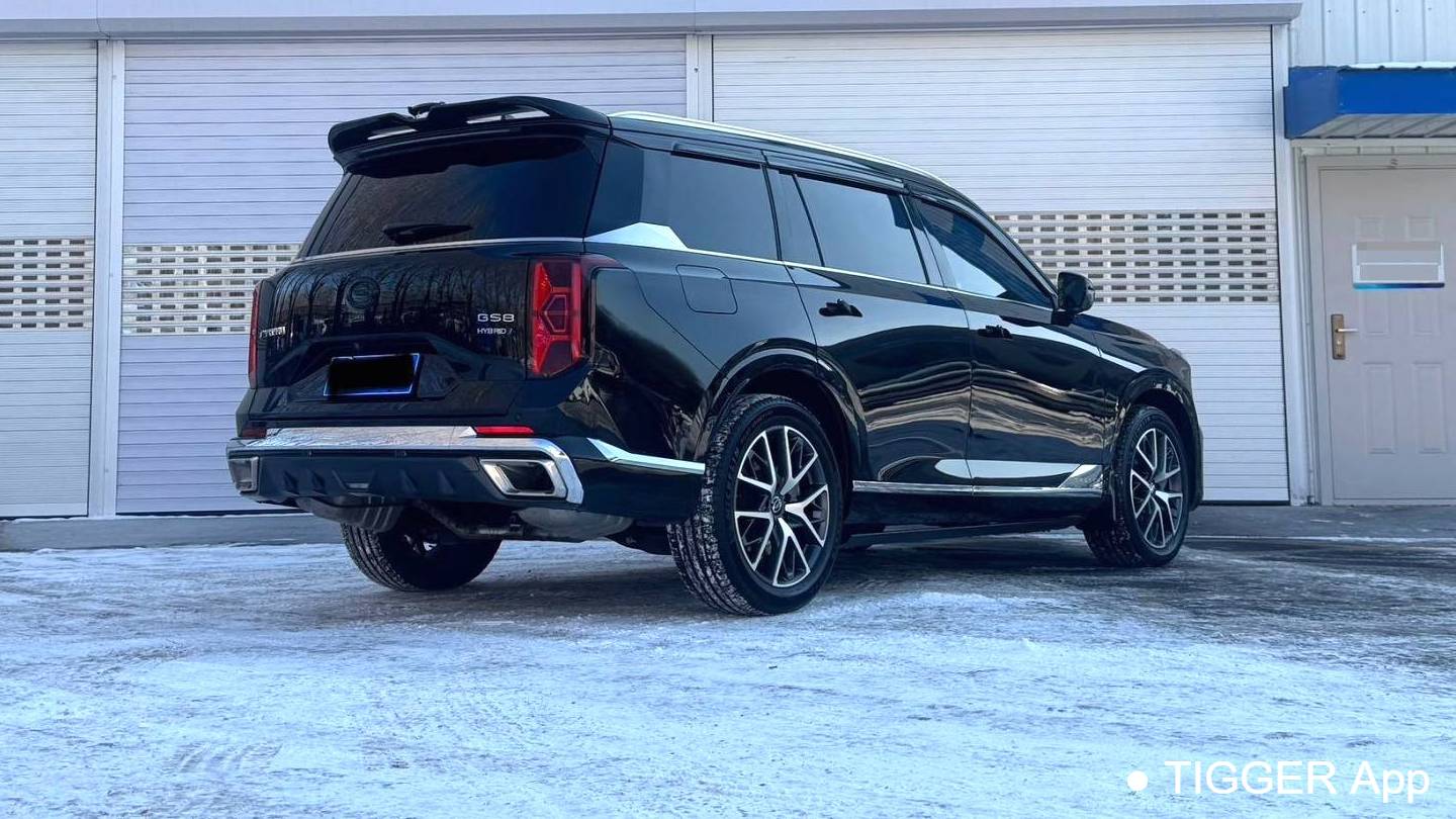 GAC 2024 GS8 Dual Engine Series 2.0TM 2WD Premium Edition