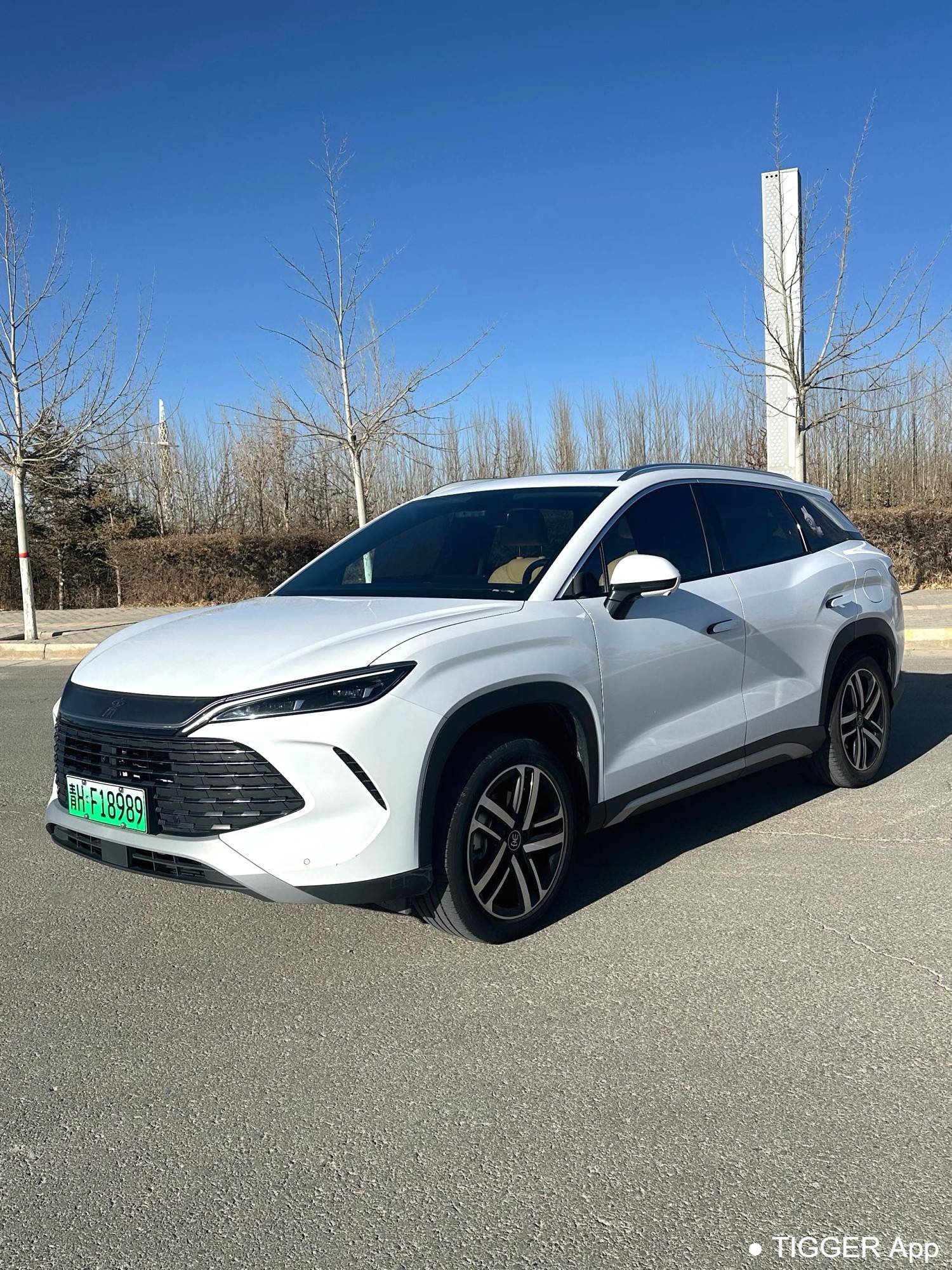 BYD 2024 SONG L DM-i 112km Leading Type