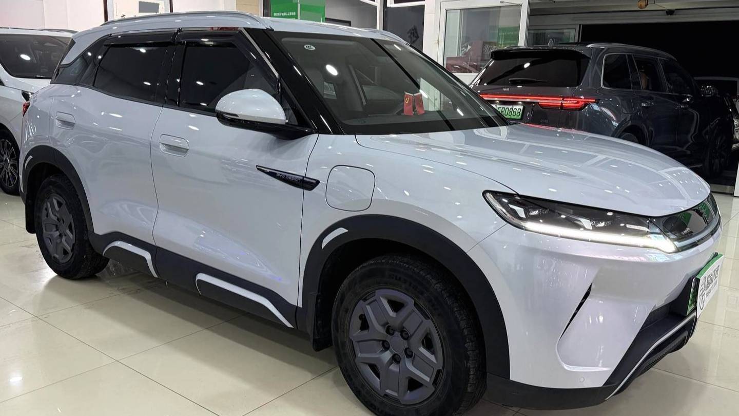 BYD 2024 YUAN UP 401KM Vitality Edition