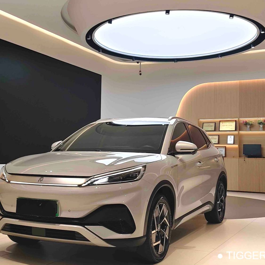 BYD 2023 YUAN PLUS Champion Edition 510KM Excellence Model Used Car