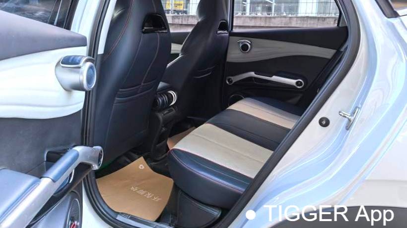 BYD 2022 YUAN PLUS 510KM flagship model