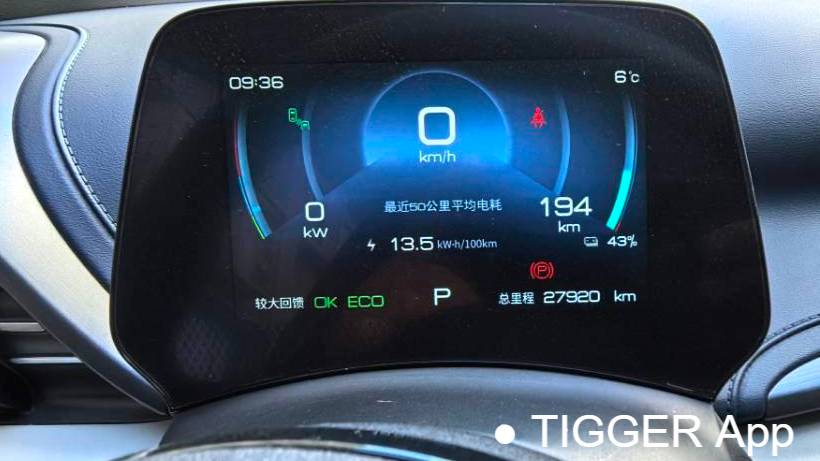 BYD 2022 YUAN PLUS 510KM flagship model