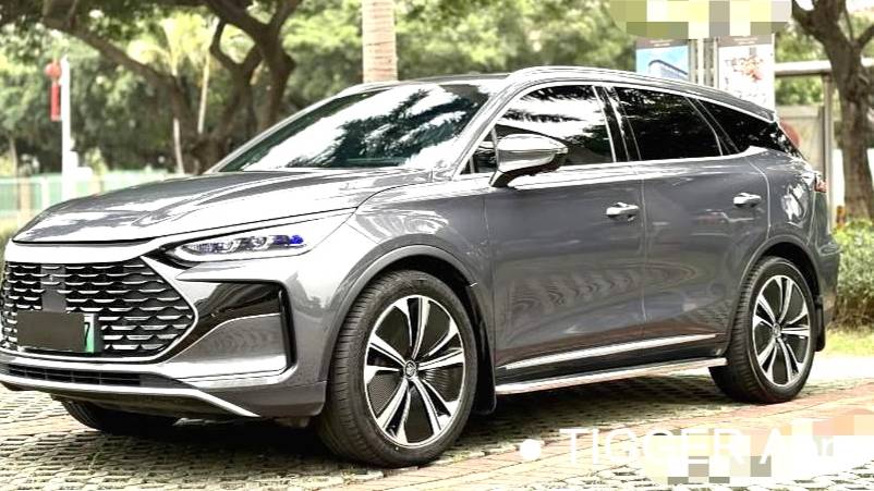 BYD 2022 BYD Tang New Energy DM-p Champion Edition 215KM 4WD Flagship Model