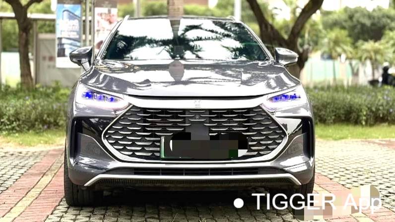 BYD 2022 BYD Tang New Energy DM-p Champion Edition 215KM 4WD Flagship Model