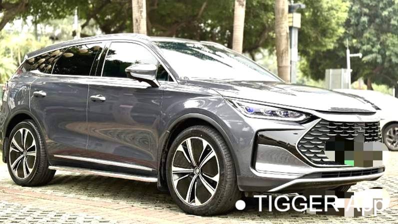 BYD 2022 BYD Tang New Energy DM-p Champion Edition 215KM 4WD Flagship Model