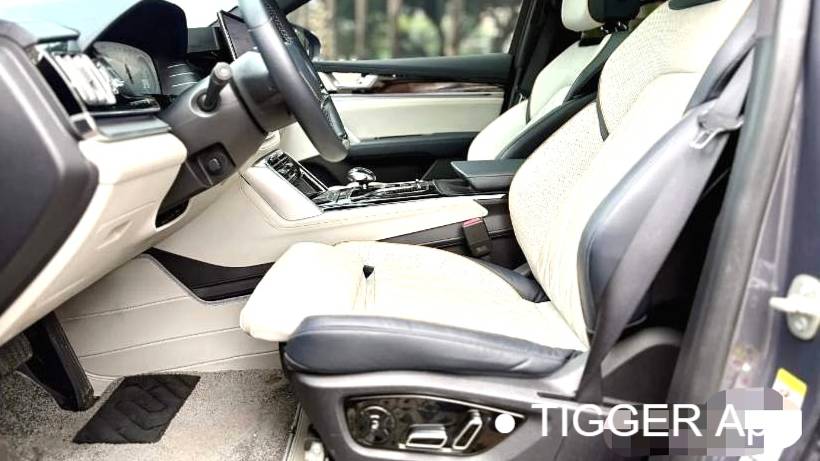 BYD 2022 BYD Tang New Energy DM-p Champion Edition 215KM 4WD Flagship Model