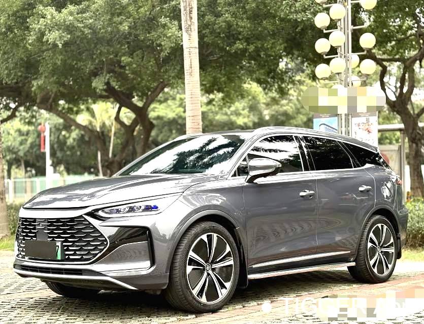 BYD 2022 BYD Tang New Energy DM-p Champion Edition 215KM 4WD Flagship Model