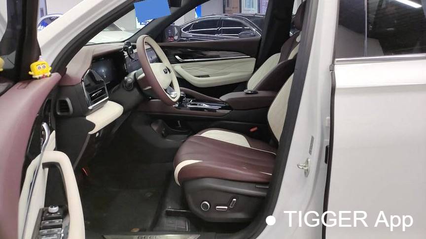 Geely 2024 Monjaro 2.0TD high-power automatic two wheel drive cloud version