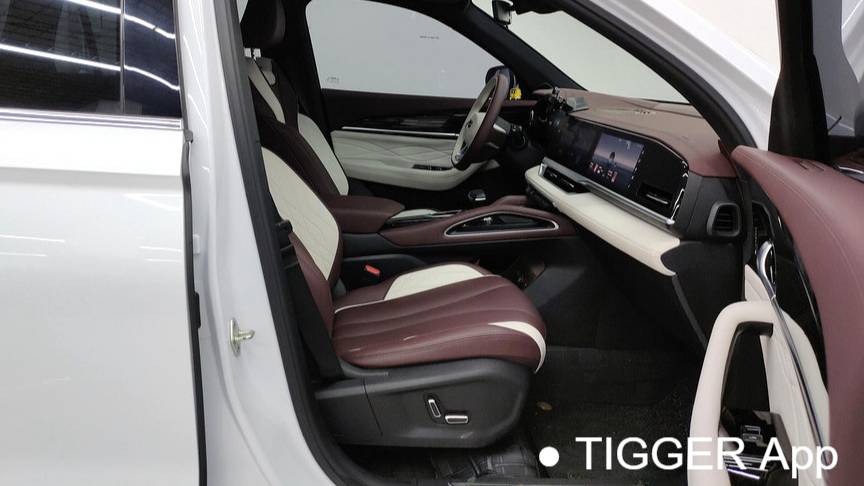 Geely 2024 Monjaro 2.0TD high-power automatic two wheel drive cloud version