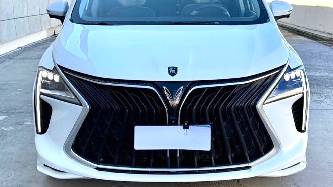 FORTHING 2022 Yacht 1.5T DCT Range Rover Edition