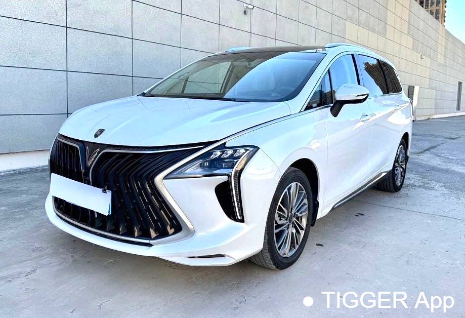 used FORTHING 2022 Yacht 1.5T DCT Range Rover Edition