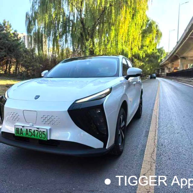 FORTHING 2024 Thunder 410+ سيارة مستعملة