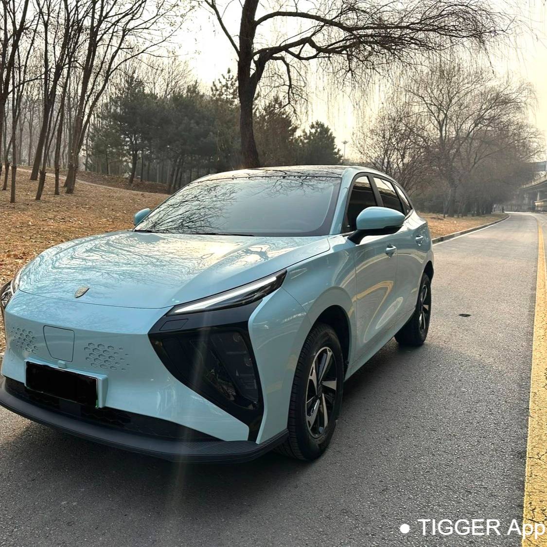 FORTHING 2024 Thunder 410 سيارة مستعملة