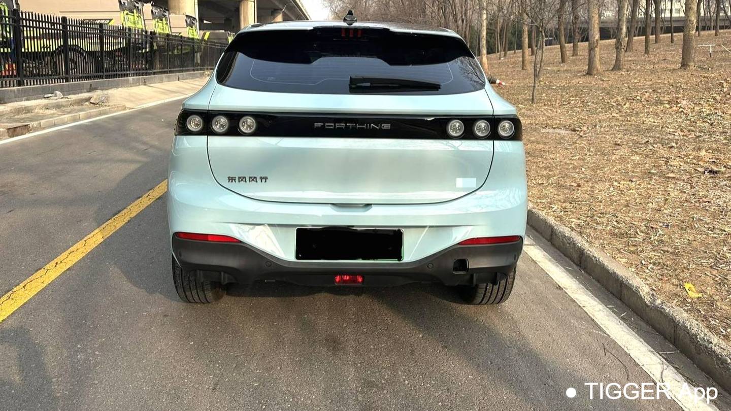 FORTHING 2024 Thunder 410