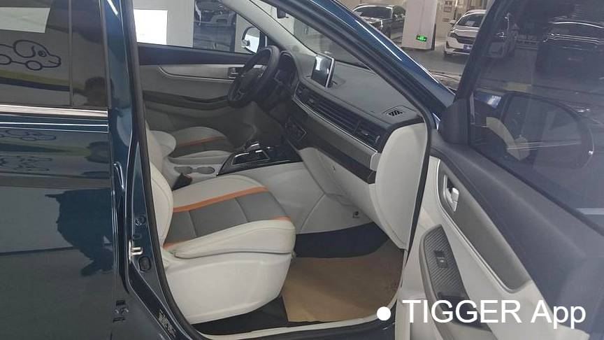 FORTHING 2023 T5 Mach version 1.5T DCT Xunlei version seven seater