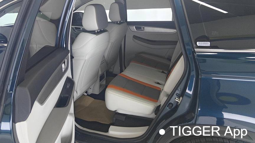 FORTHING 2023 T5 Mach version 1.5T DCT Xunlei version seven seater