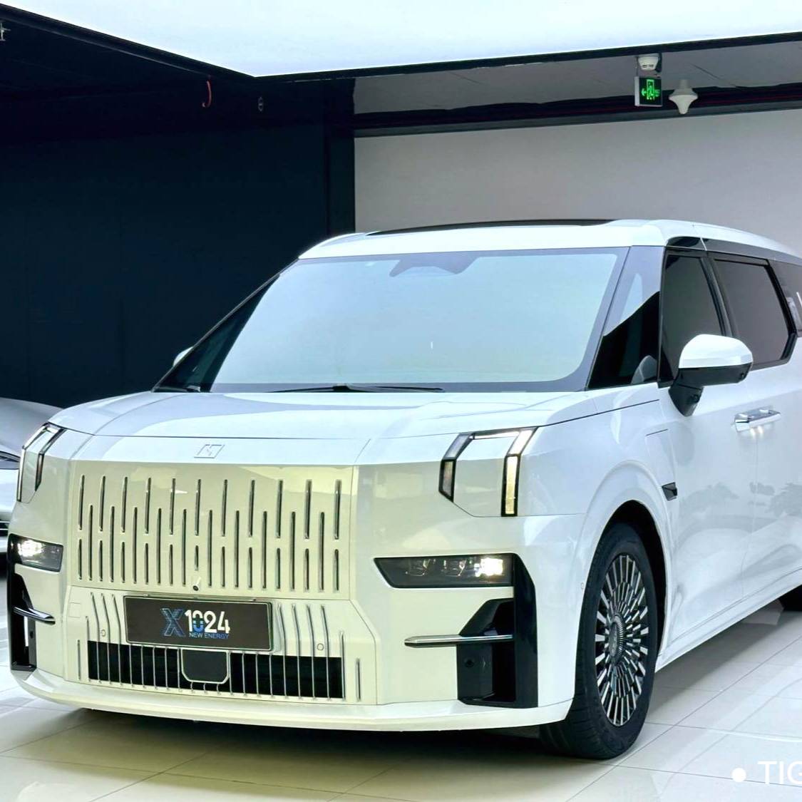 ZEEKR 2022 009 WE version Used Car