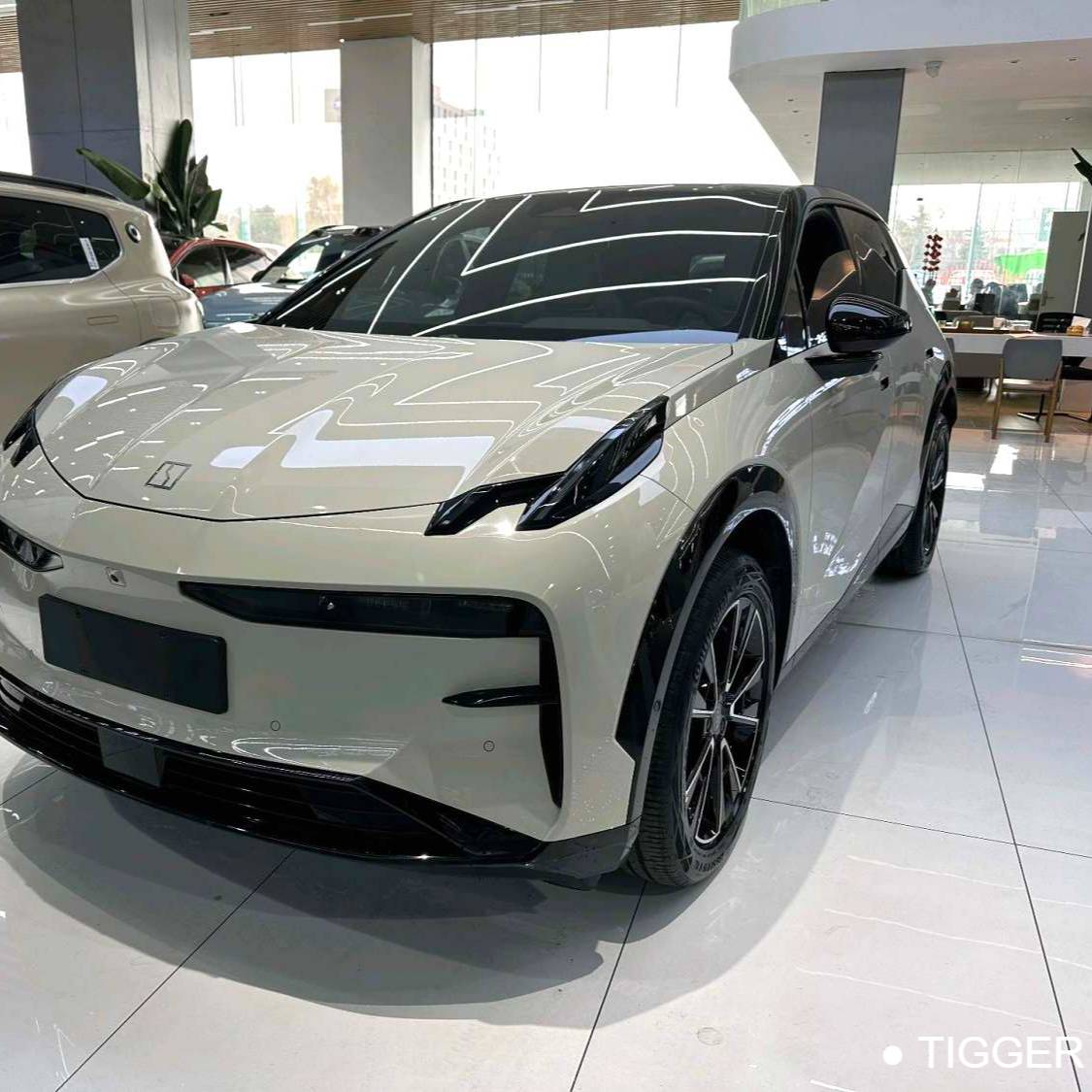 ZEEKR 2023 X Rear wheel drive ME version 5-seater Used Car