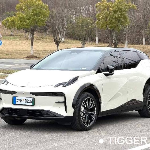 ZEEKR 2023 X Rear wheel drive YOU version 4-seater Used Car
