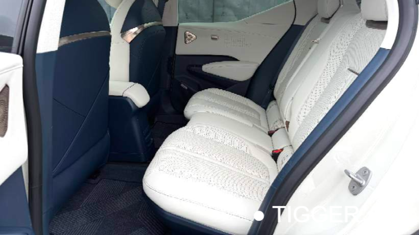 ZEEKR 2023 X Rear wheel drive YOU version 4-seater