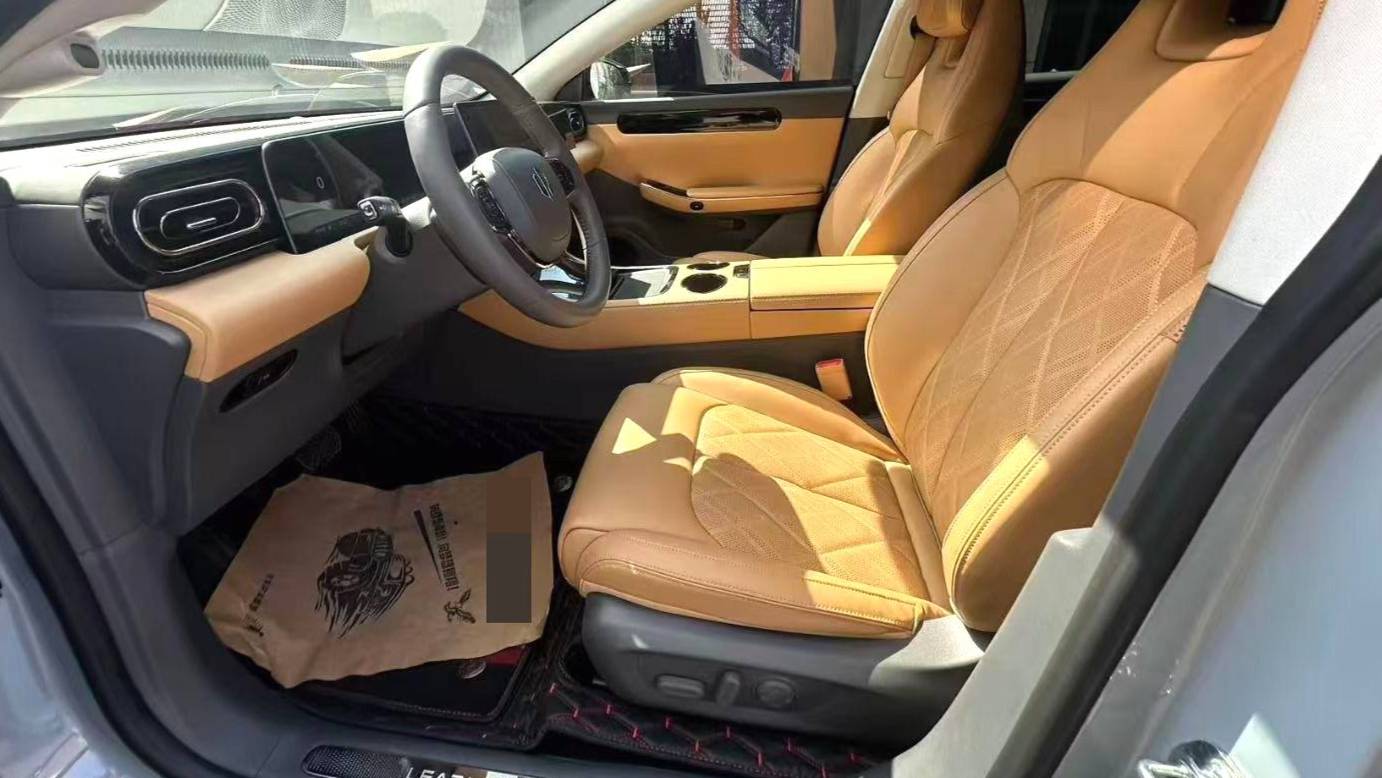 LEAP 2024 C01 Extended Range 316 Premium Edition