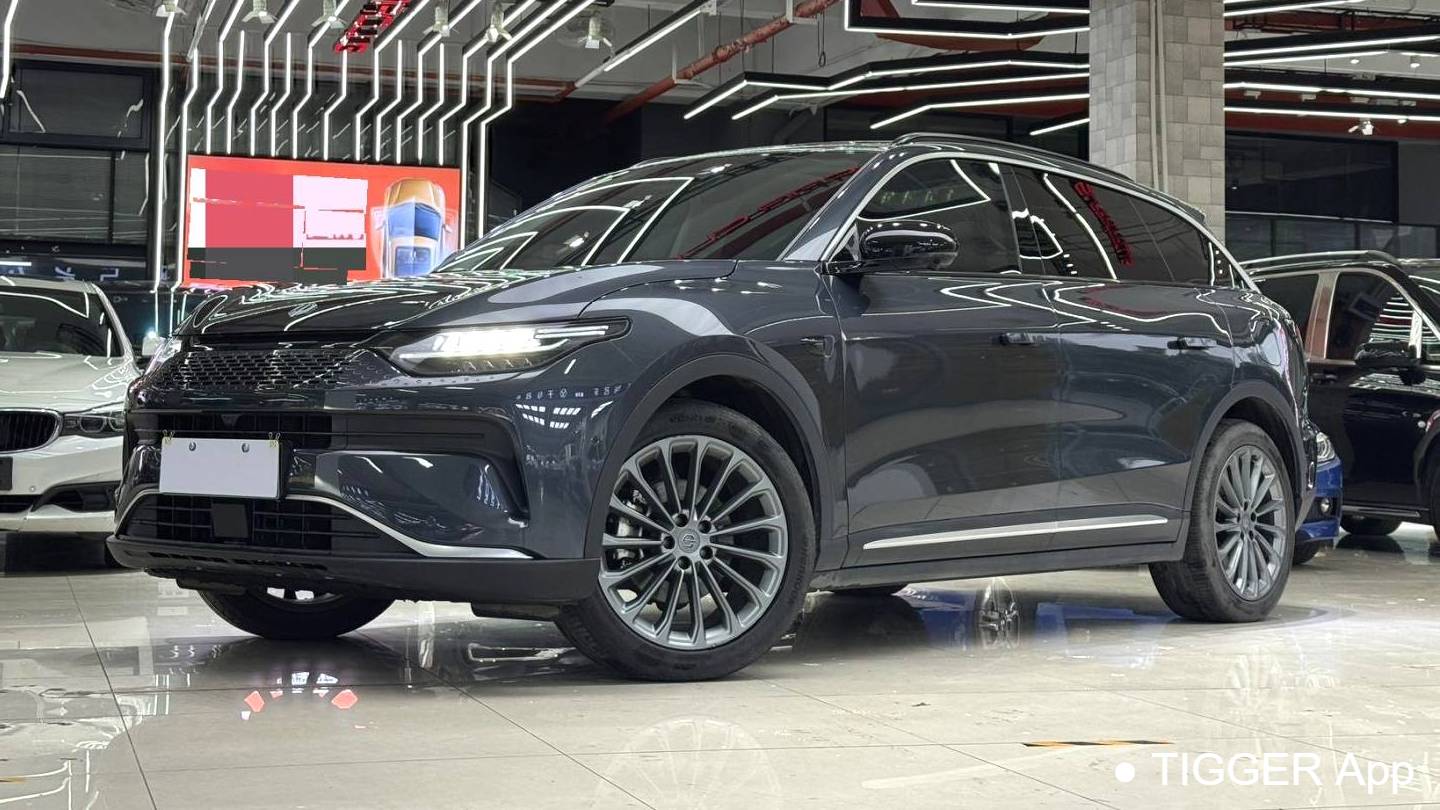 LEAP 2024 C11 Extended Range 300 Premium Edition