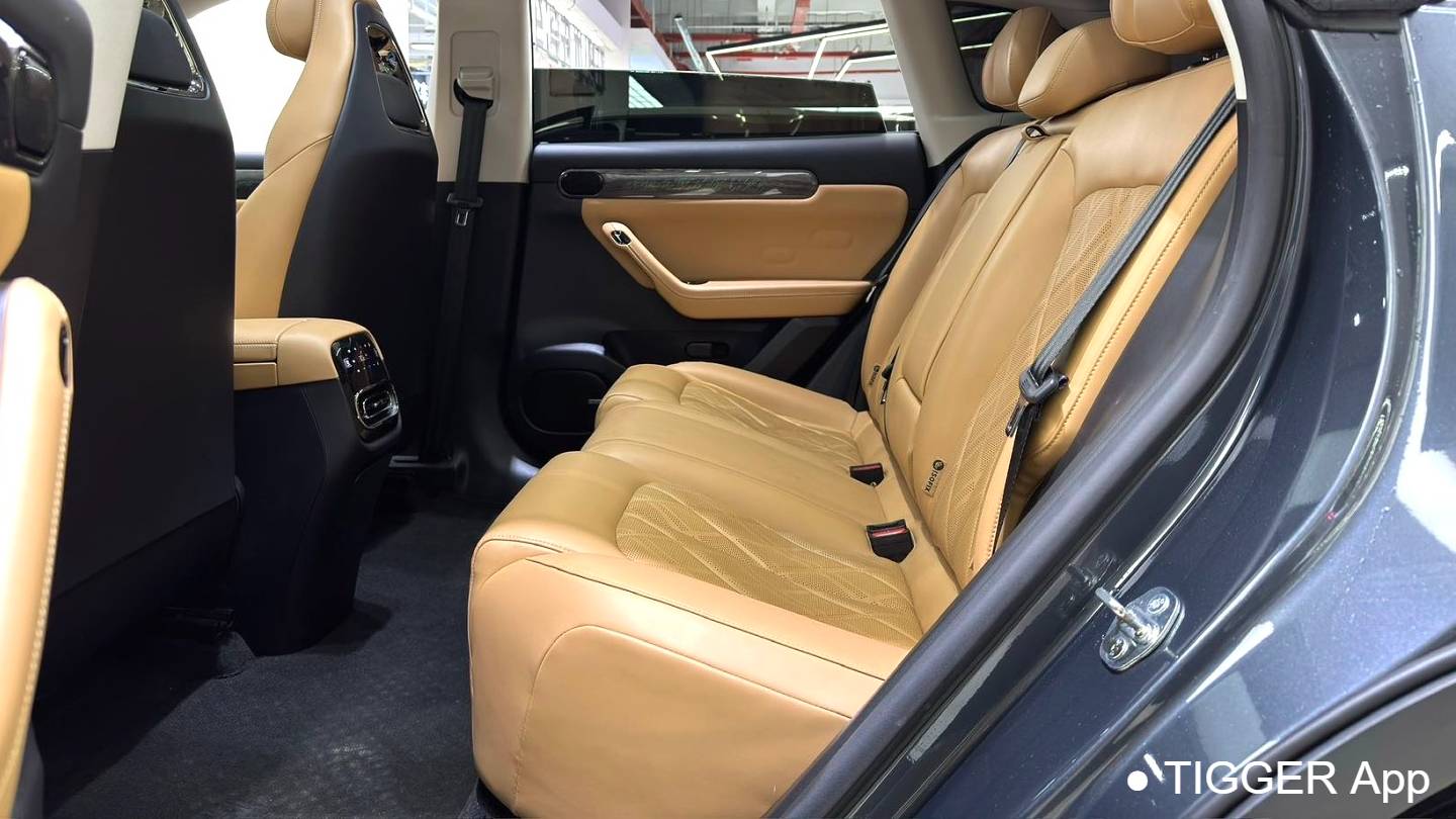 LEAP 2024 C11 Extended Range 300 Premium Edition