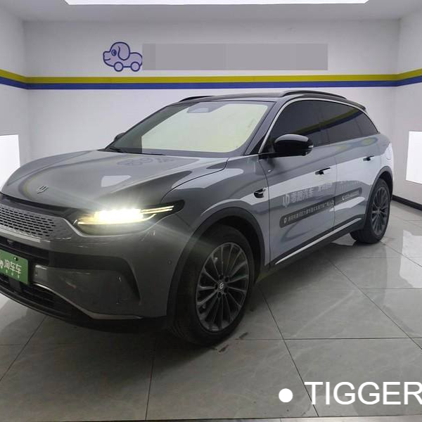 LEAP 2024 C11 Extended Range 300 Premium Edition Used Car